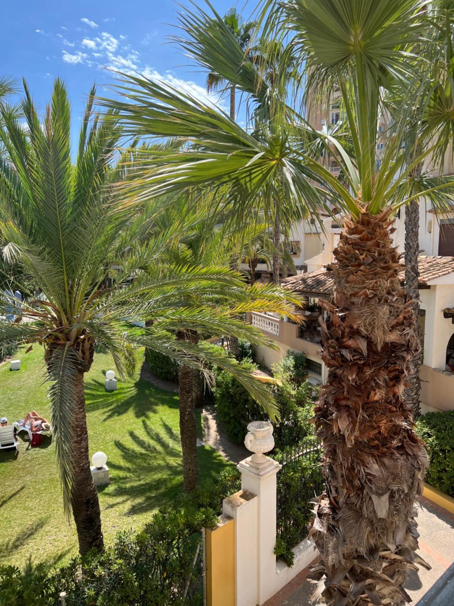 Casa Al Mare Aldea Daire Torrevieja Dış mekan fotoğraf