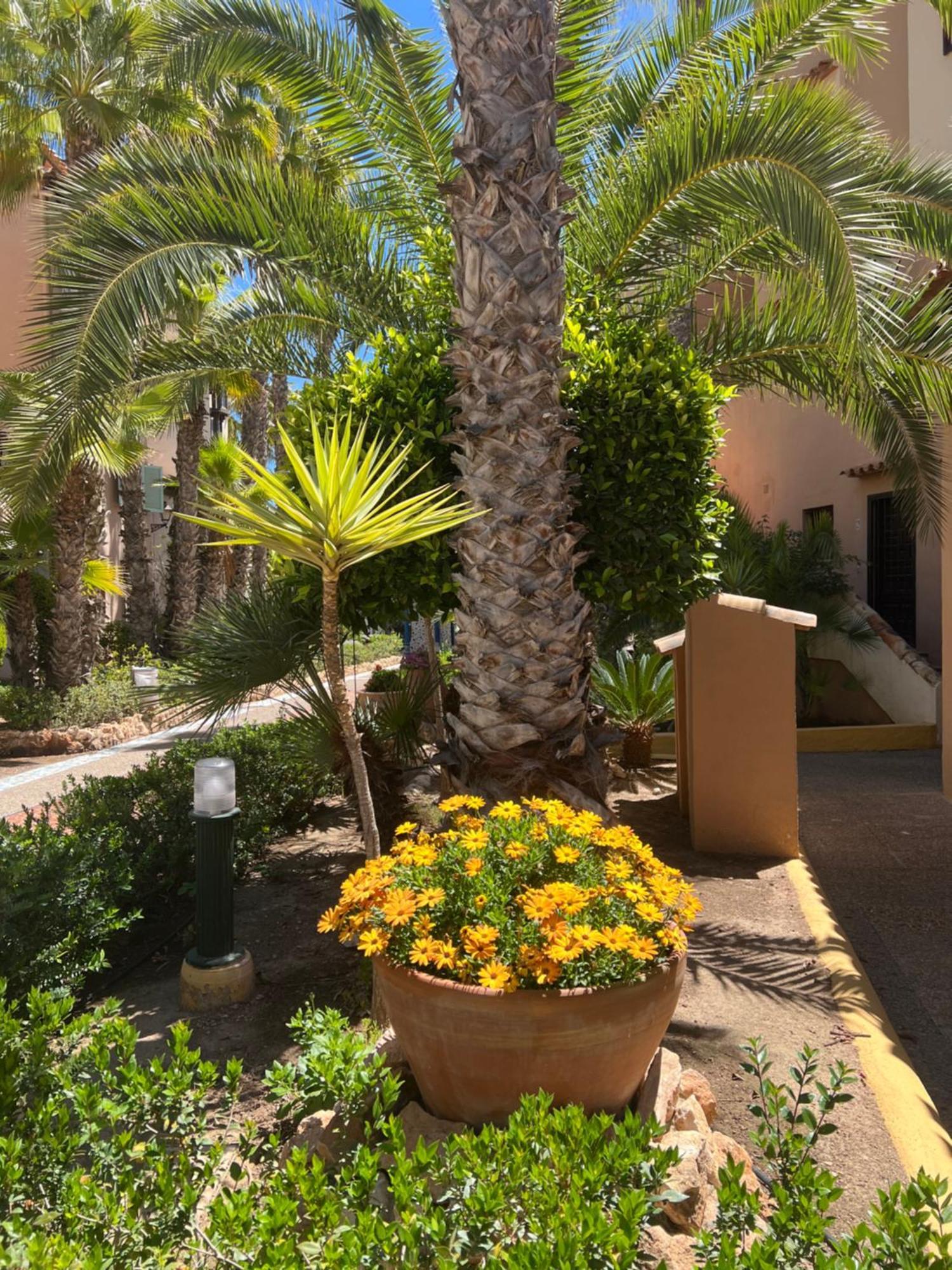 Casa Al Mare Aldea Daire Torrevieja Dış mekan fotoğraf